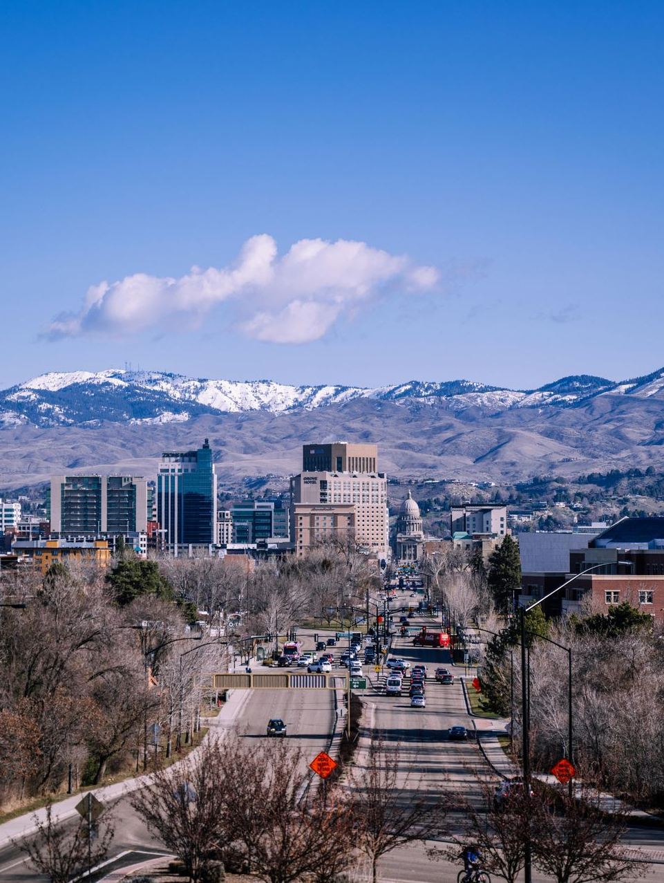 A hand holds a garden hose, spraying a fan of water over lush green palm leaves in a sunny outdoor setting.