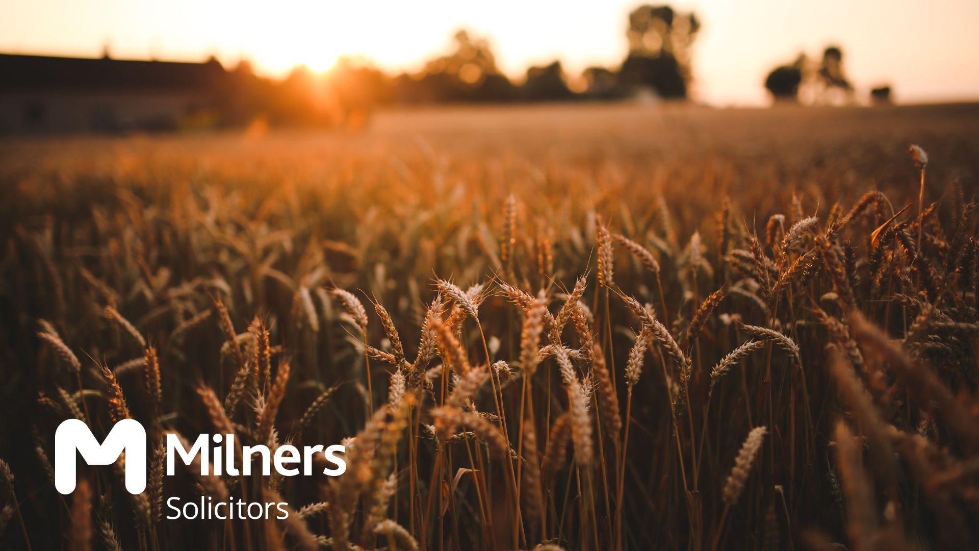 If you're a farmer, producer or land manager, you'll probably have heard of the Agriculture Act 2020. Join us as we run through the changes it makes.