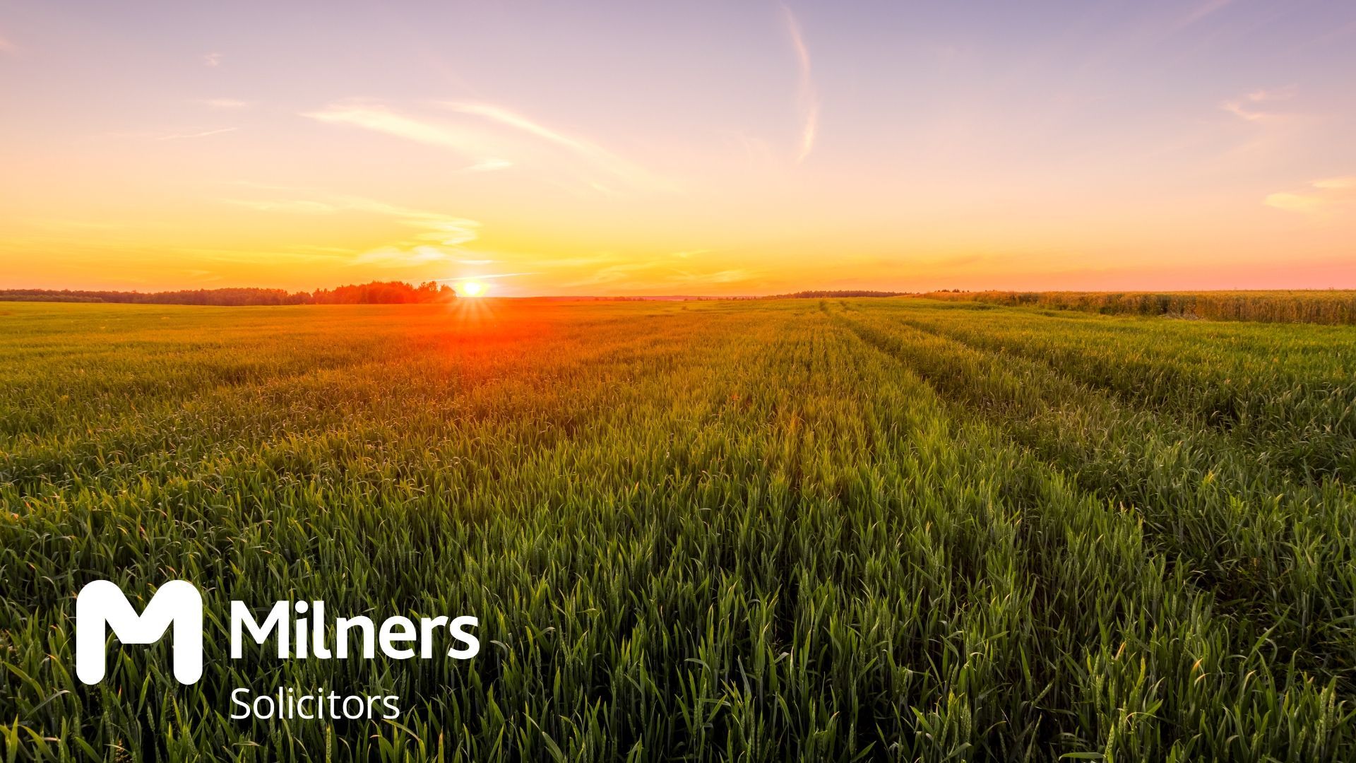 Compulsory purchase orders allow local authorities and other bodies to buy land without seeking the owner's consent. Find out how this can affect farmers.