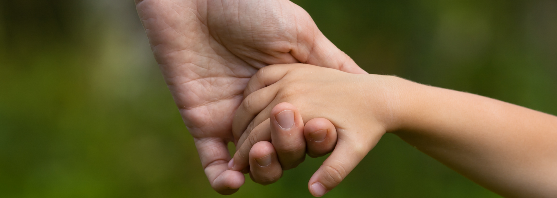 Picture of a child holding a parent's hand