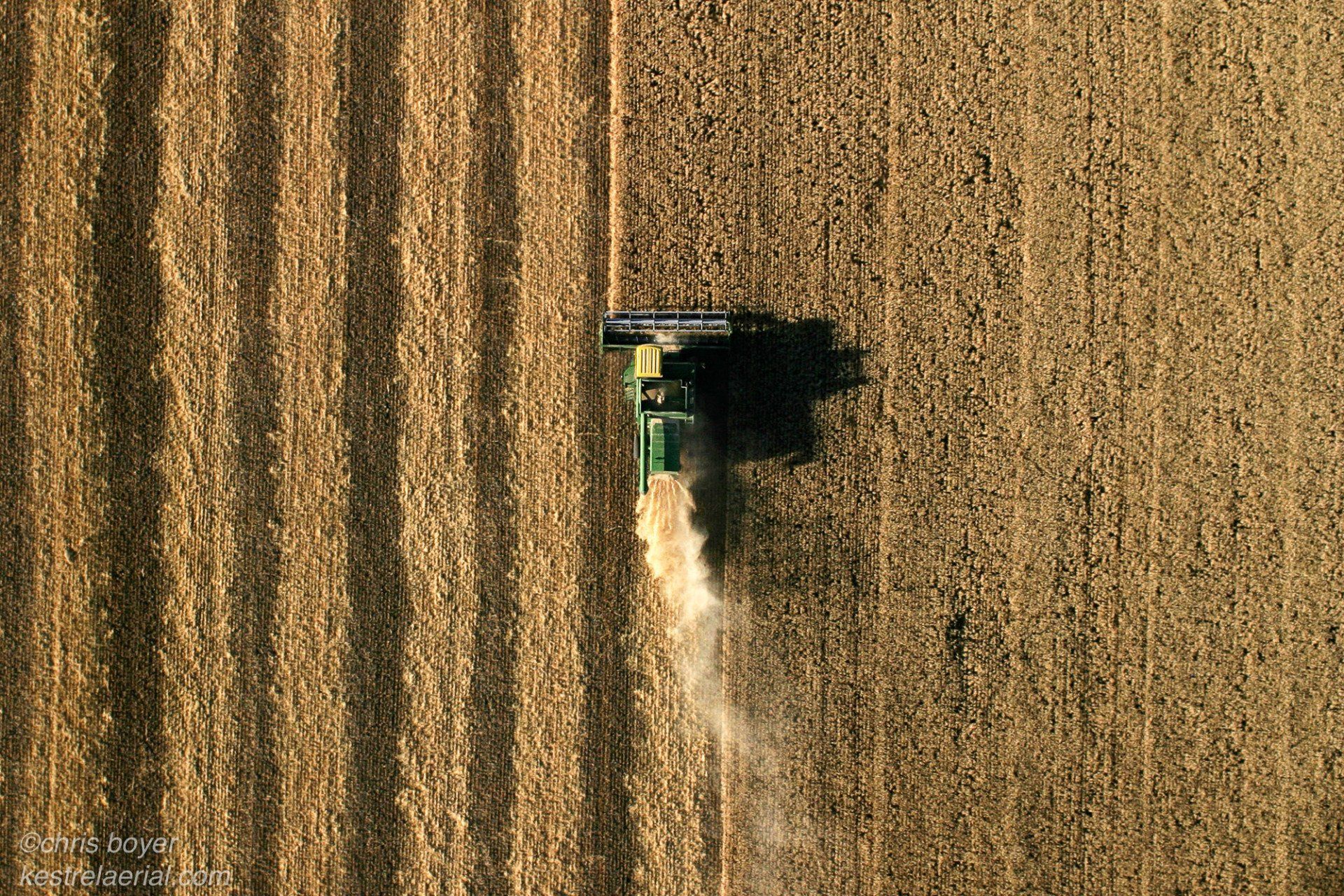 Central Montana Grain Harvest