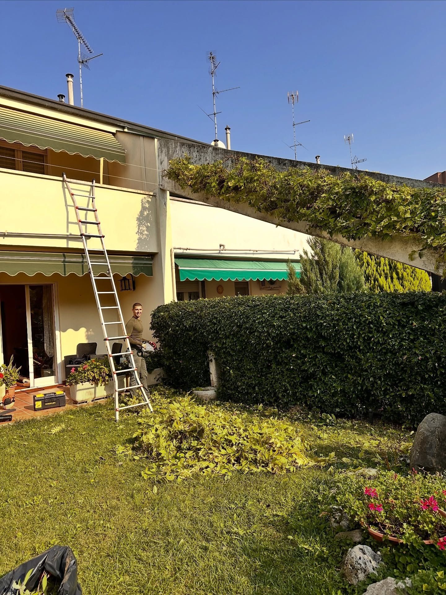 Una persona utilizza una scala alta per potare la vegetazione contro un edificio residenziale a due piani con tende da sole e un prato.