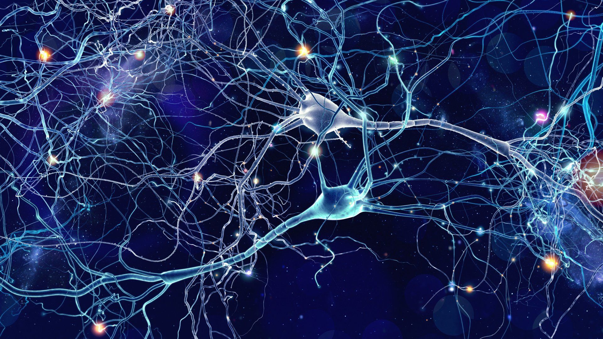 We use a brain led ‘applied neurology’ approach...