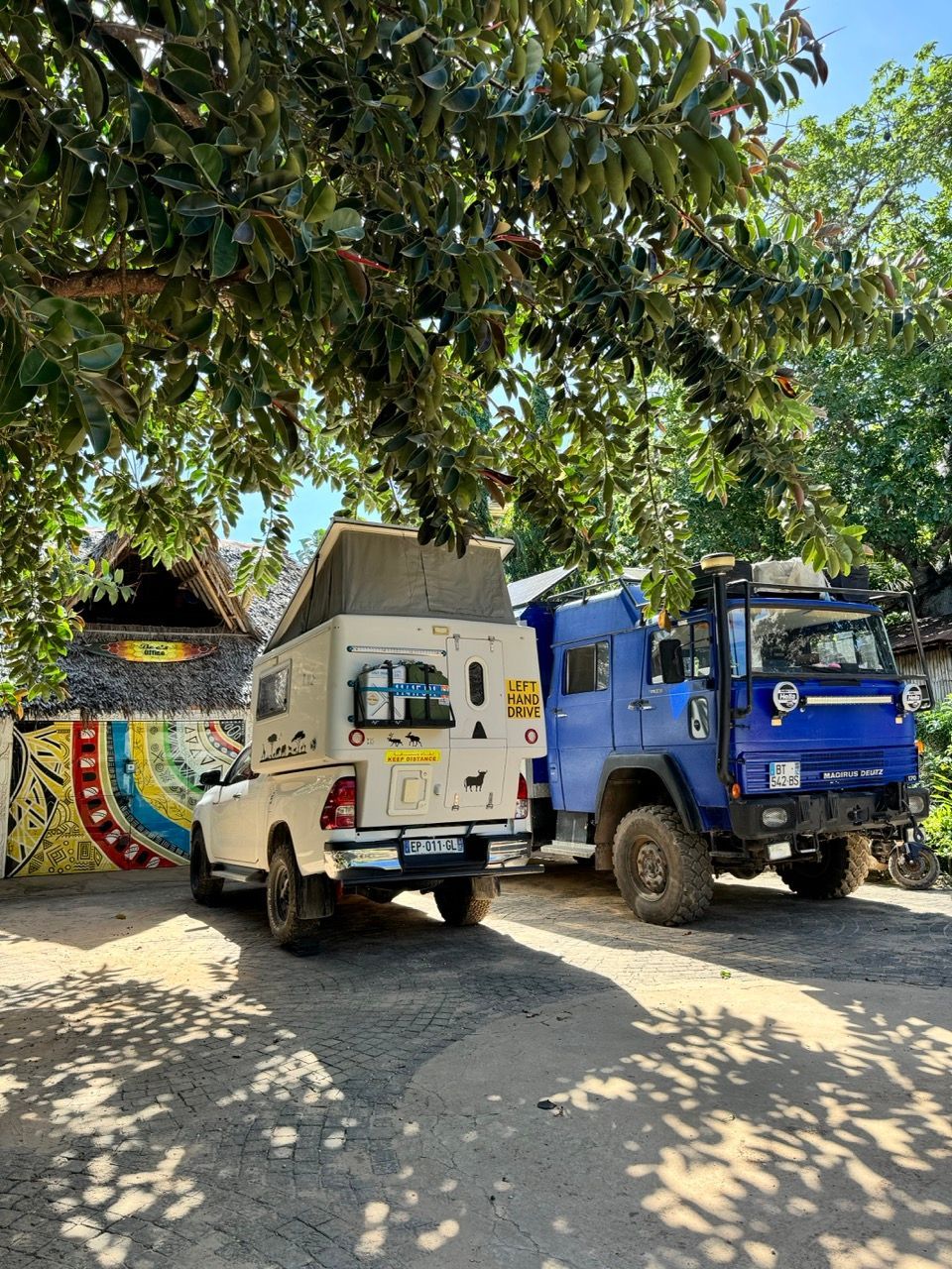 Orange sports car and teal van parked on a boardwalk by the ocean, with a seagull flying above.