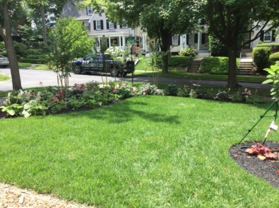 Wide Garden — New Castle, DE — Ayala Landscaping