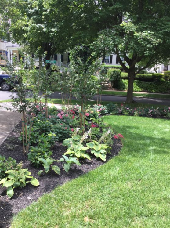 Landscaped Garden — New Castle, DE — Ayala Landscaping