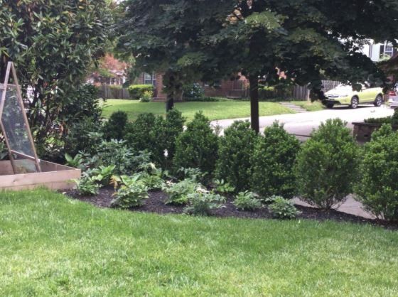 Green Plants — New Castle, DE — Ayala Landscaping