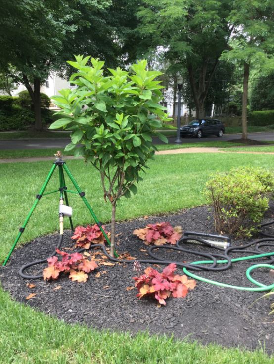 Plants On Garden — New Castle, DE — Ayala Landscaping