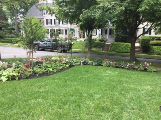 Clean Garden — New Castle, DE — Ayala Landscaping