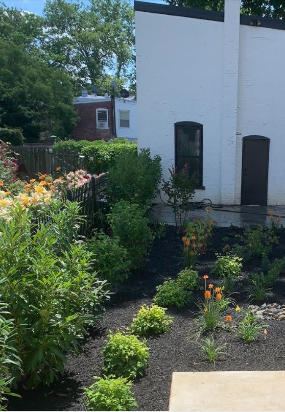 Outdoor Green Plants — New Castle, DE — Ayala Landscaping