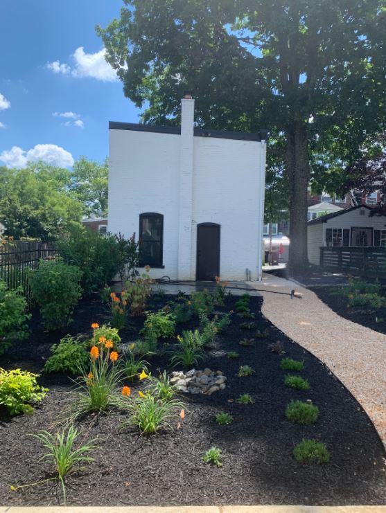 Outdoor Garden Plants — New Castle, DE — Ayala Landscaping