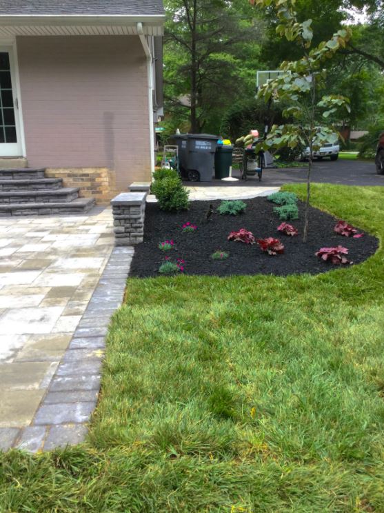 Wide Green Garden — New Castle, DE — Ayala Landscaping