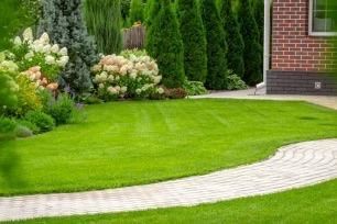 Elegant Garden Plants — New Castle, DE — Ayala Landscaping