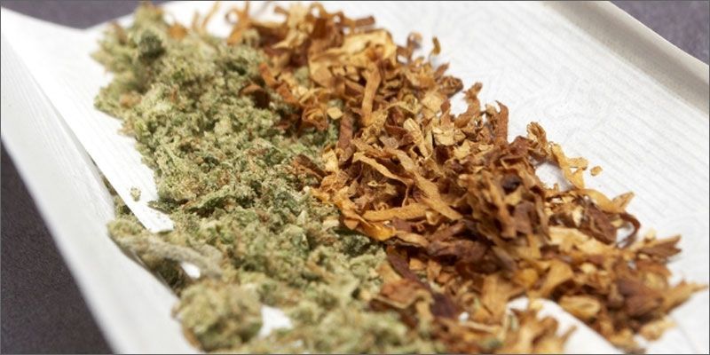 spliff-cannabis-e-tabaco