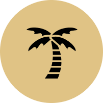 A palm tree icon in a circle on a white background.