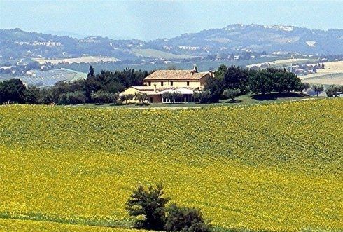 paesaggio naturale marchigiano