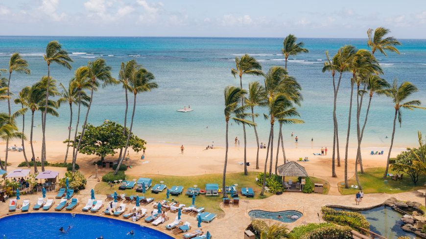 Beach with palm trees, blue ocean, a pool, and people relaxing.