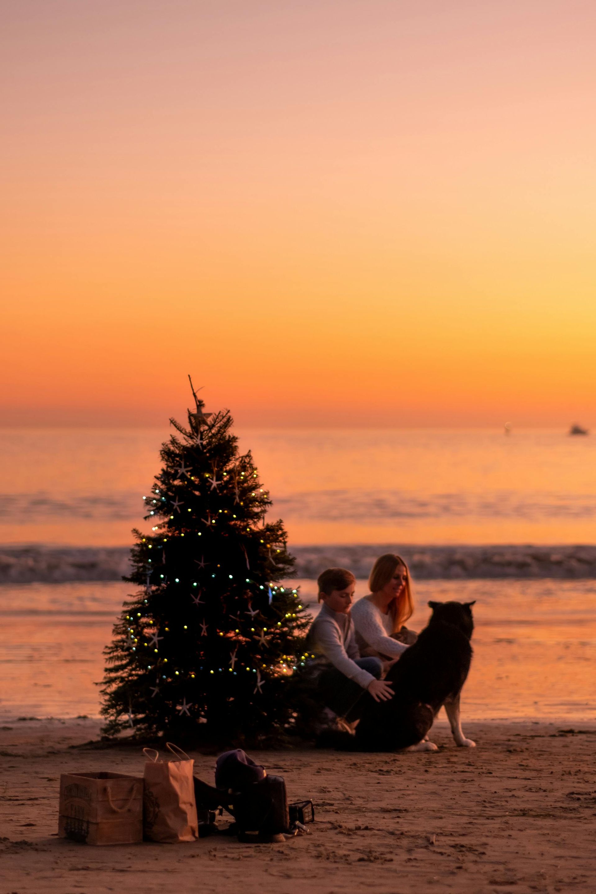 Family and dog on beach with Christmas tree at sunset.