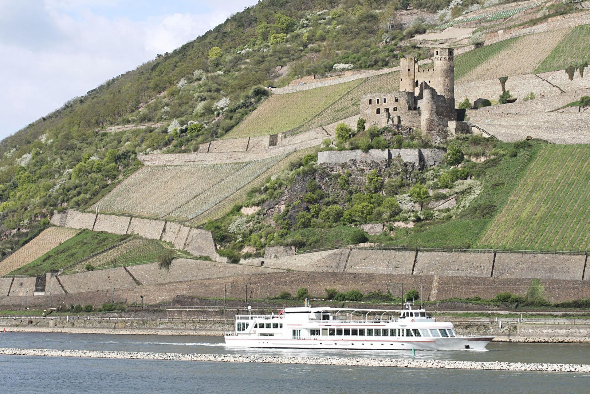 A white river cruise ship travels past a stone castle ruin perched on a steep, terraced vineyard hill along the Rhine.
