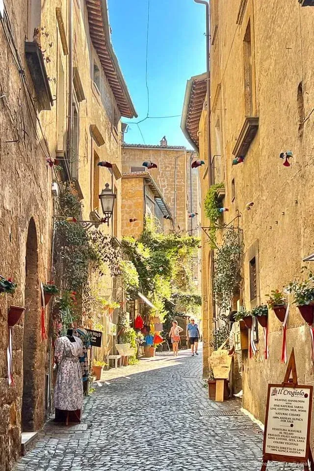 A narrow, sunlit Italian cobblestone street lined with rustic stone buildings, hanging plants, and a shop sign.
