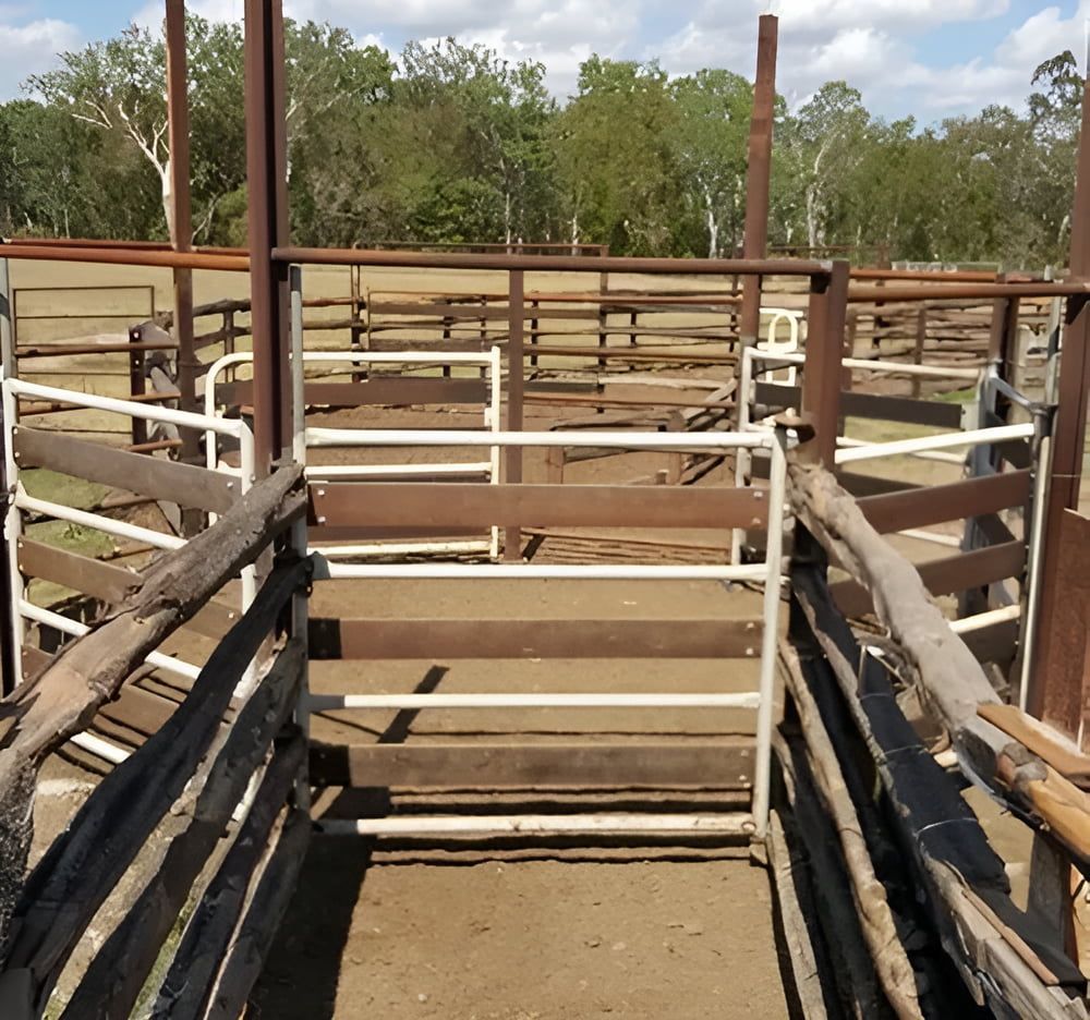 A Fenced In Area With Trees In The Background — D.T. Fencing In Bakers Creek, QLD
