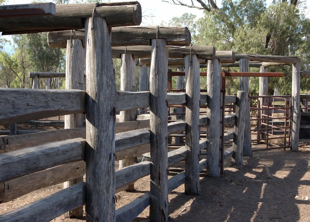 A Row Of Wooden Fences With Trees In The Background — D.T. Fencing In Bakers Creek, QLD