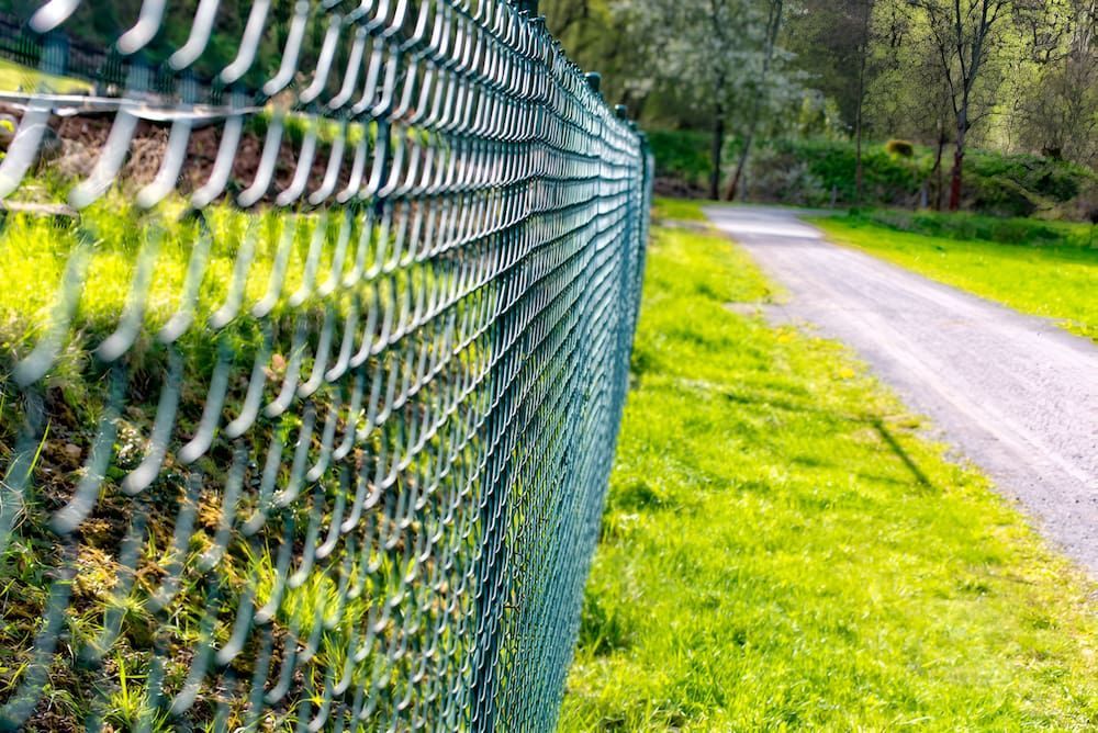 A Chain Link Fence Surrounds A Grassy Field Next To A Road — D.T. Fencing In Bakers Creek, QLD