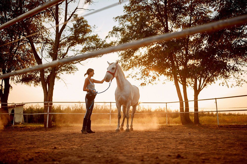 Woman and Her Horse on A Sunset — Los Osos, CA — Los Osos Valley Equine Farm