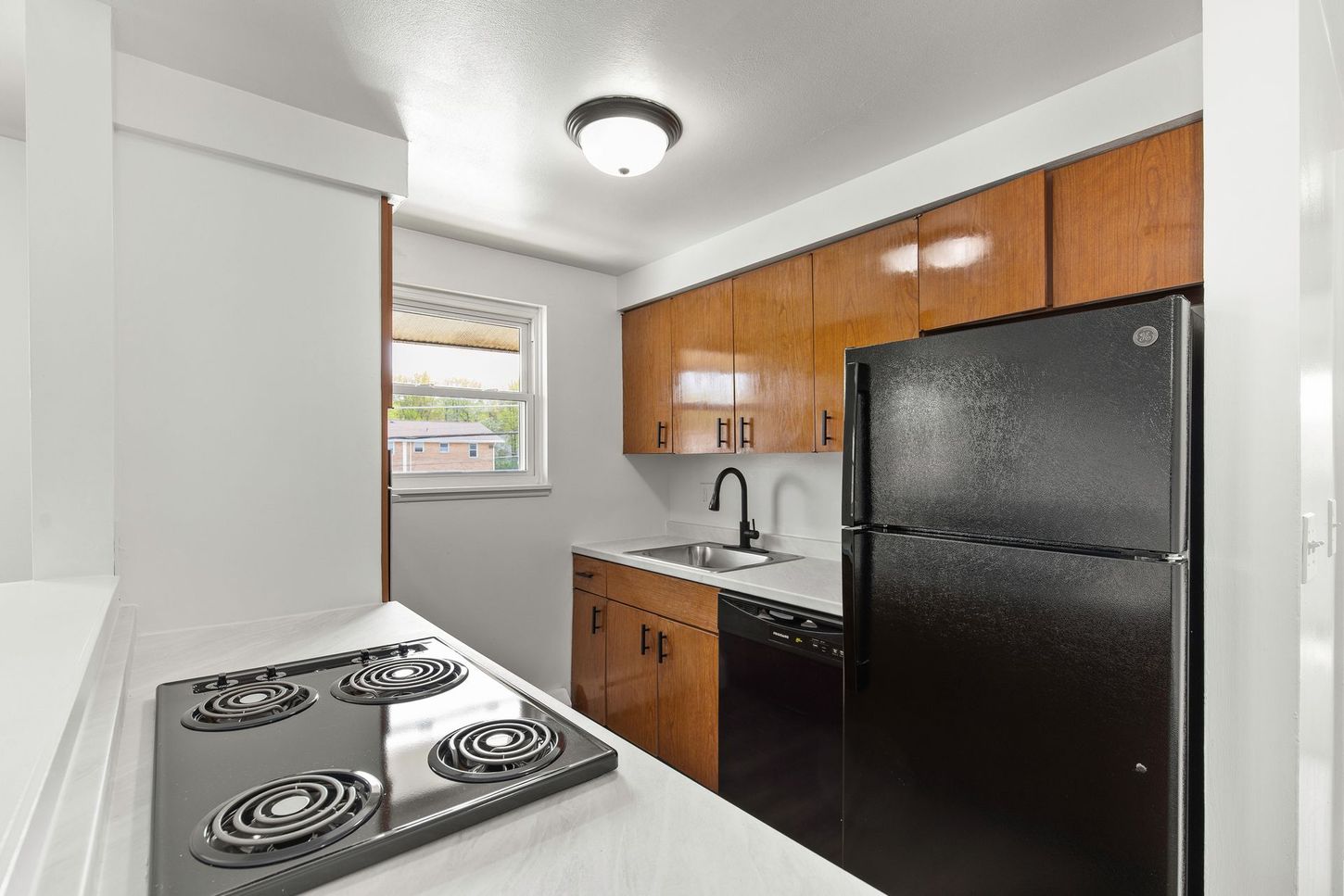 Kitchen with dark appliances, wooden cabinets, and electric stovetop.