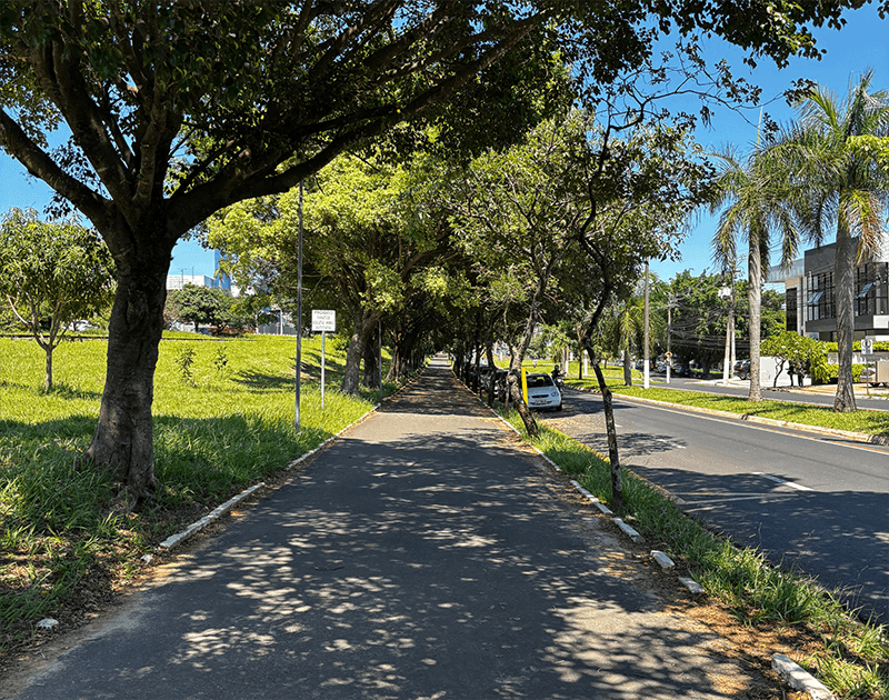 Um caminho pavimentado estende-se por uma área ensolarada e arborizada, separando um campo gramado verde de uma estrada com um carro estacionado.