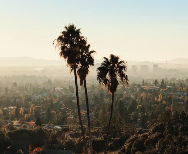 A view of a city with palm trees in the foreground