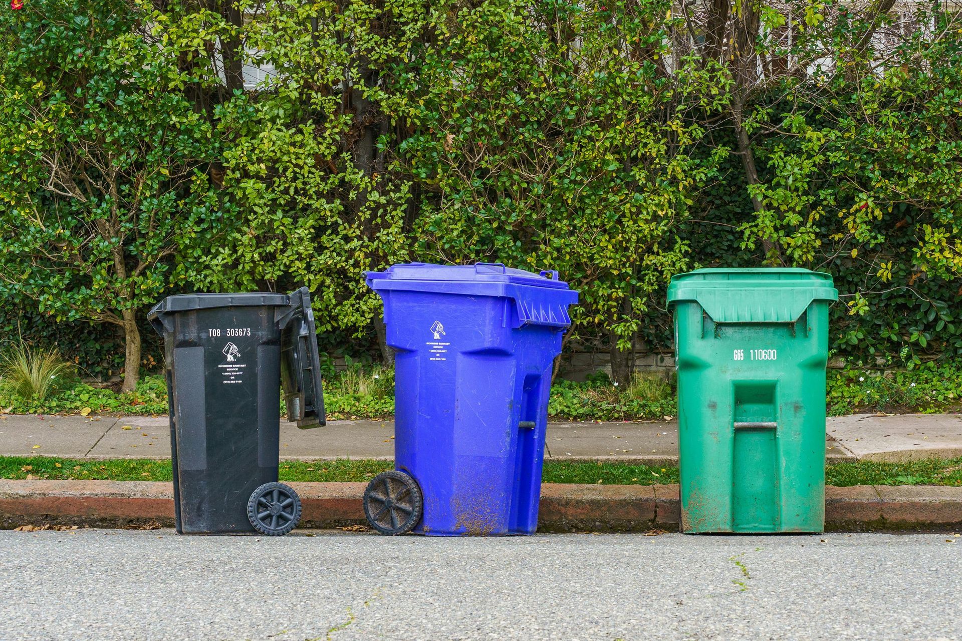 Garbage bin and concrete walkway cleaning