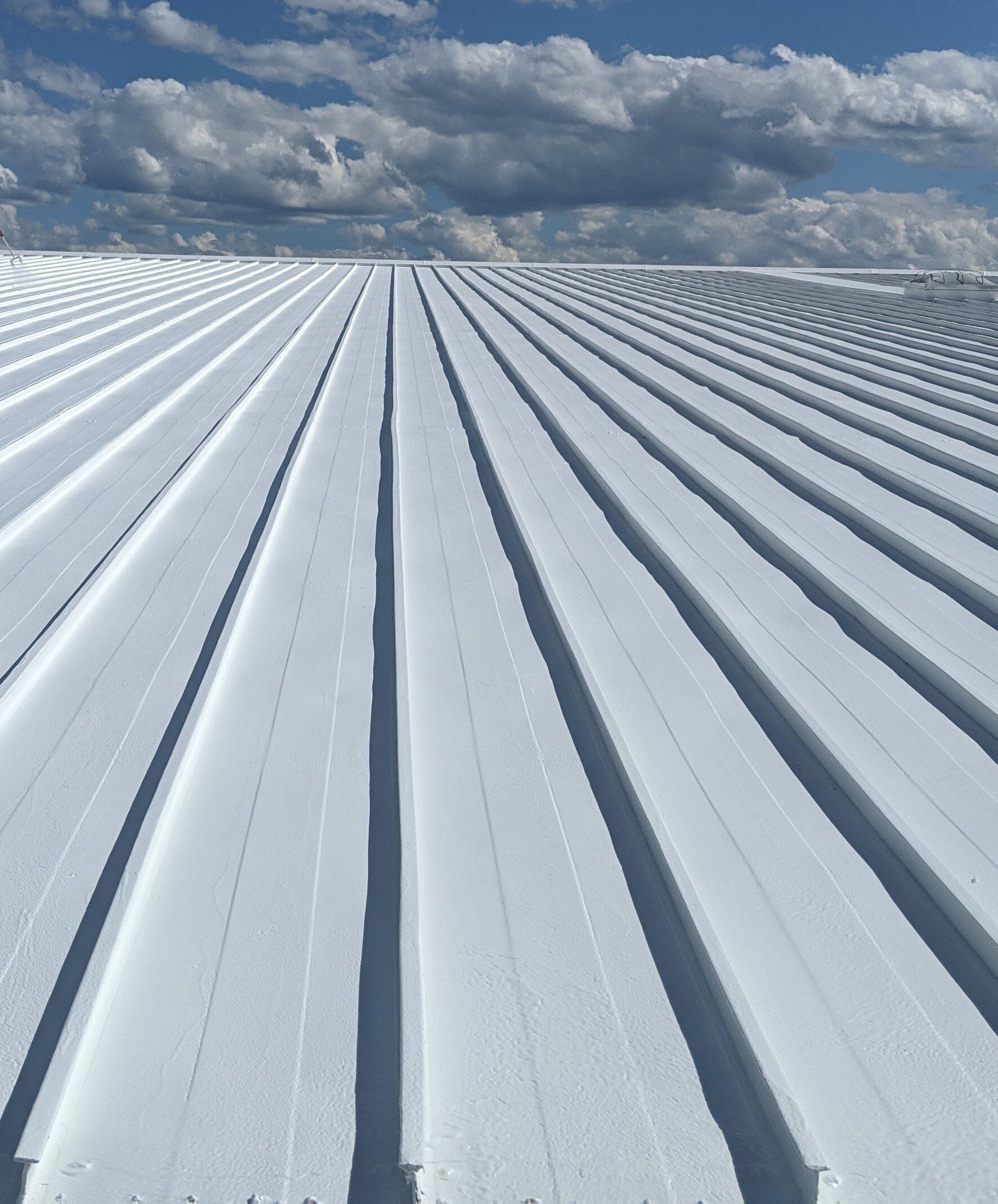 commercial metal roofing