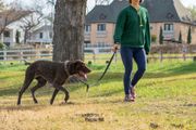 A person in a green jacket walking a brown, spotted dog on a leash across a grassy field near a house.