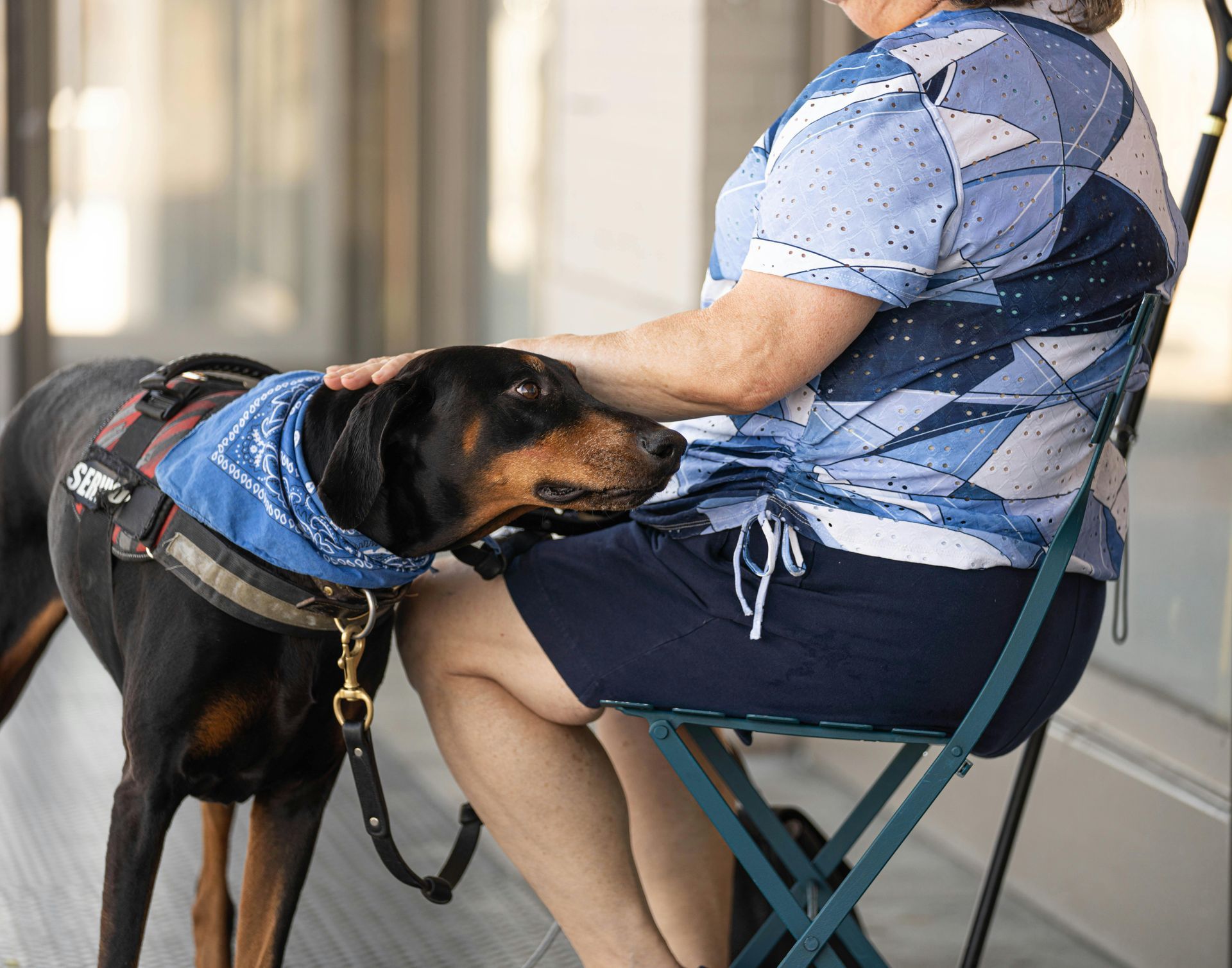 A black-and-tan dog wearing a blue bandana rests its head on the lap of a person sitting on a chair.