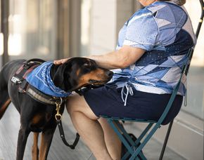 Black dog in a blue vest resting its head on a seated person’s lap indoors