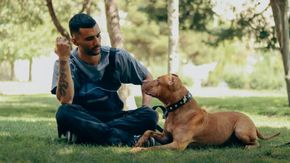 Man sitting on grass training a brown dog in a park, holding up a treat or command gesture