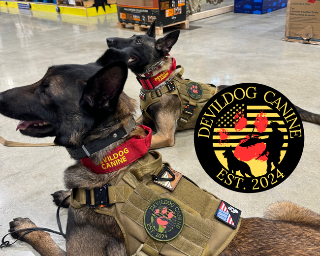 Two military working dogs in tactical vests sitting in a warehouse, with a Devil Dog Canine logo.