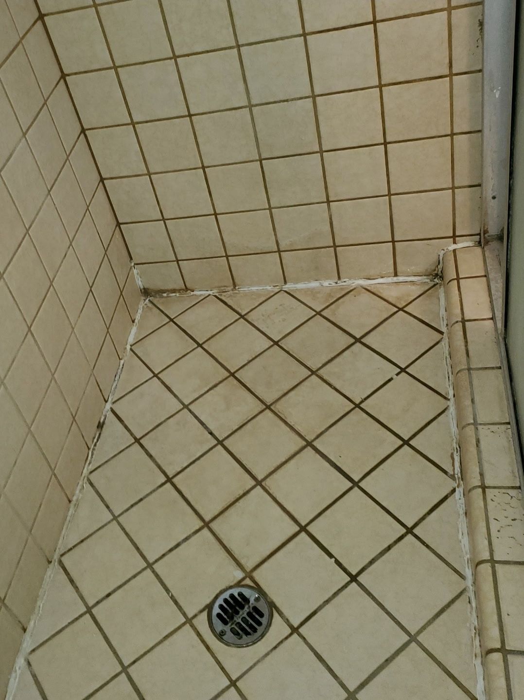 Shower stall with tiled walls and floor, diamond-patterned floor, and central drain. Tiles are off-white with dark grout.