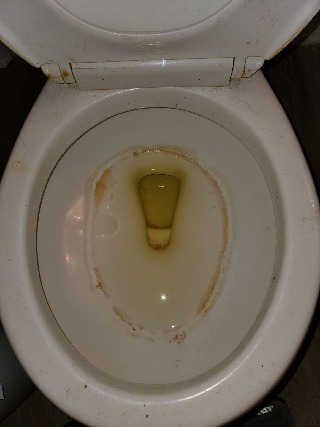 A dirty toilet bowl with a yellow-brown ring and water, viewed from above with the lid open.