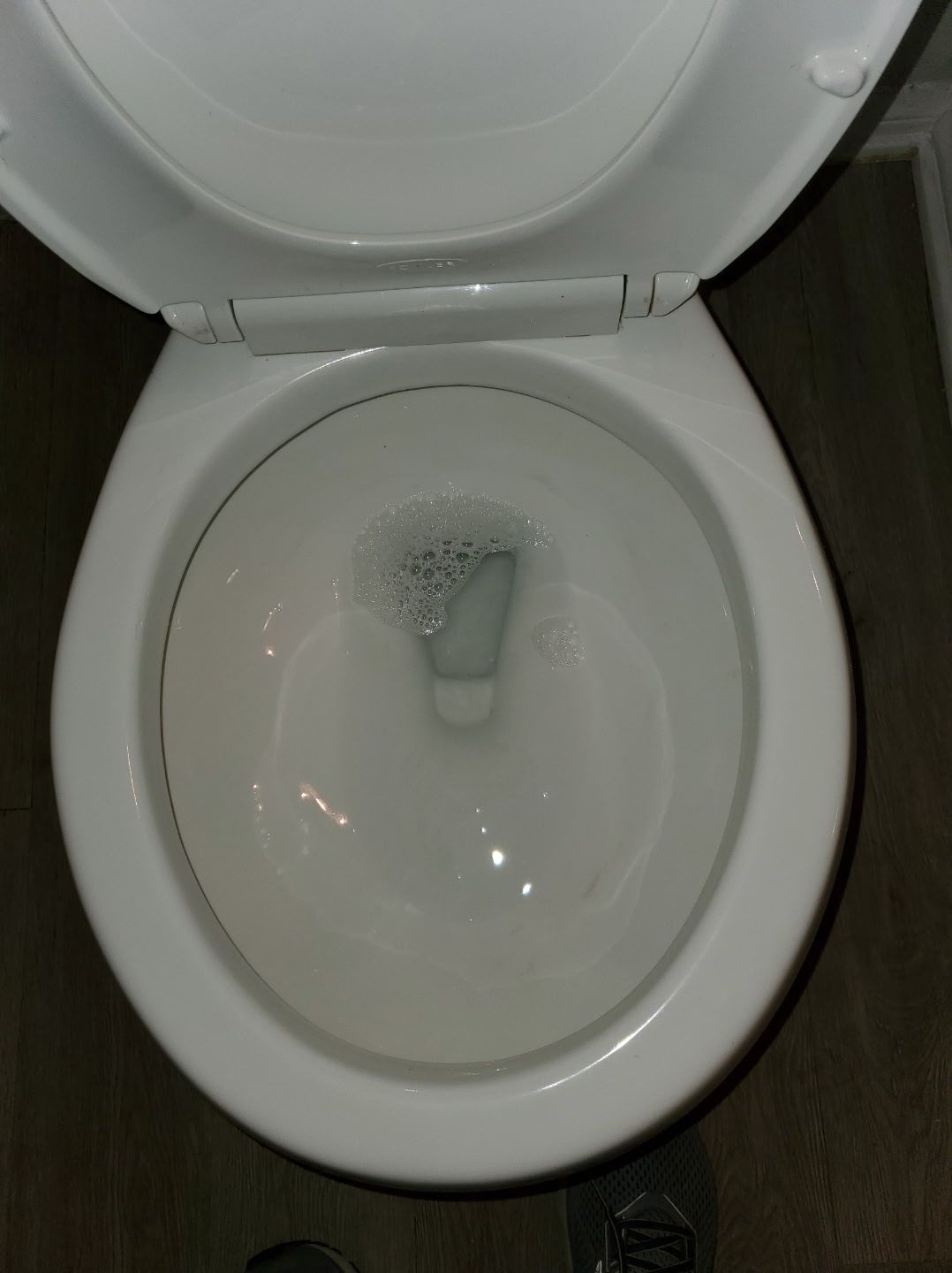White toilet bowl filled with water, open seat.