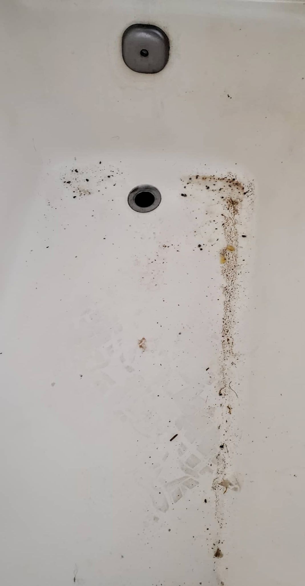 Dirty white bathtub with stains and debris near the drain and overflow.
