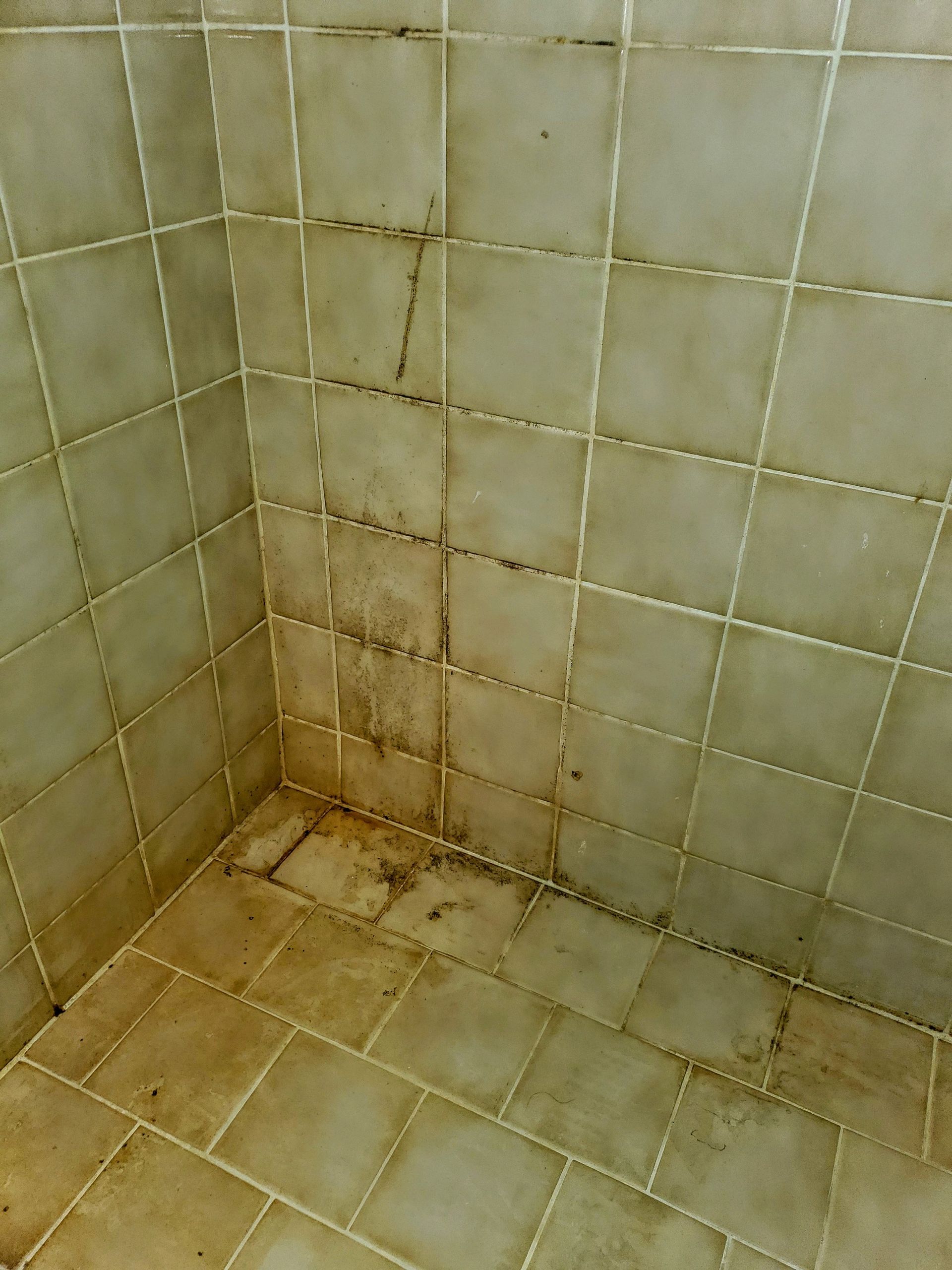Mold and mildew visible on the tile walls and floor of a shower corner.