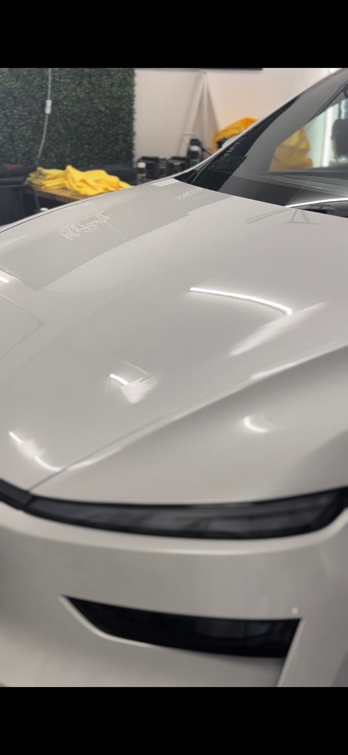 Tesla Model Y ceramic coating Standard Paint Protection Honolulu