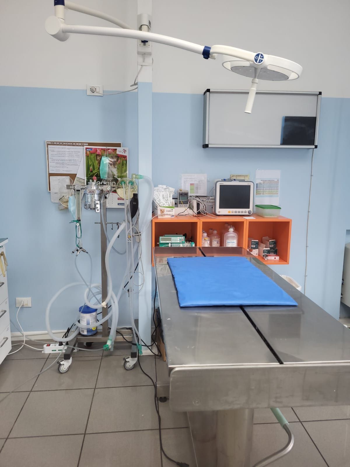 Sala operatoria veterinaria con tavolo operatorio, attrezzature mediche e luci a soffitto.