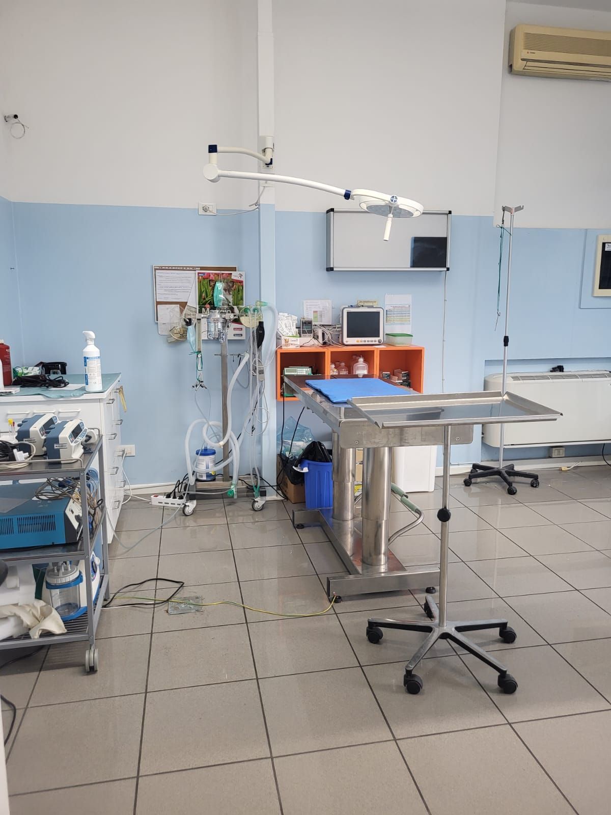 Sala operatoria veterinaria: tavolo in acciaio, attrezzatura medica, pareti blu e bianche.
