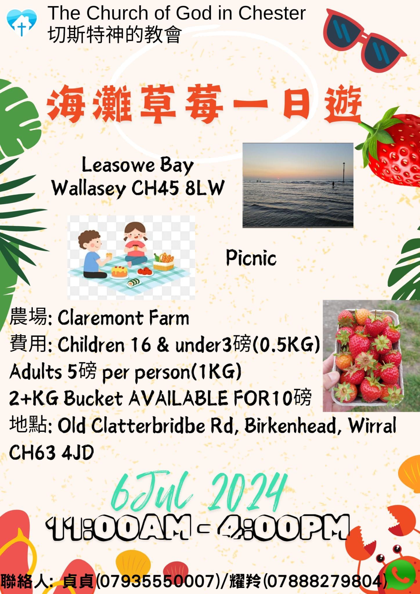 海灘草莓一日遊