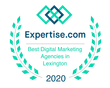 Expertise.com award: Best Digital Marketing Agencies in Lexington, 2020. Green laurel wreath, blue and teal logo.