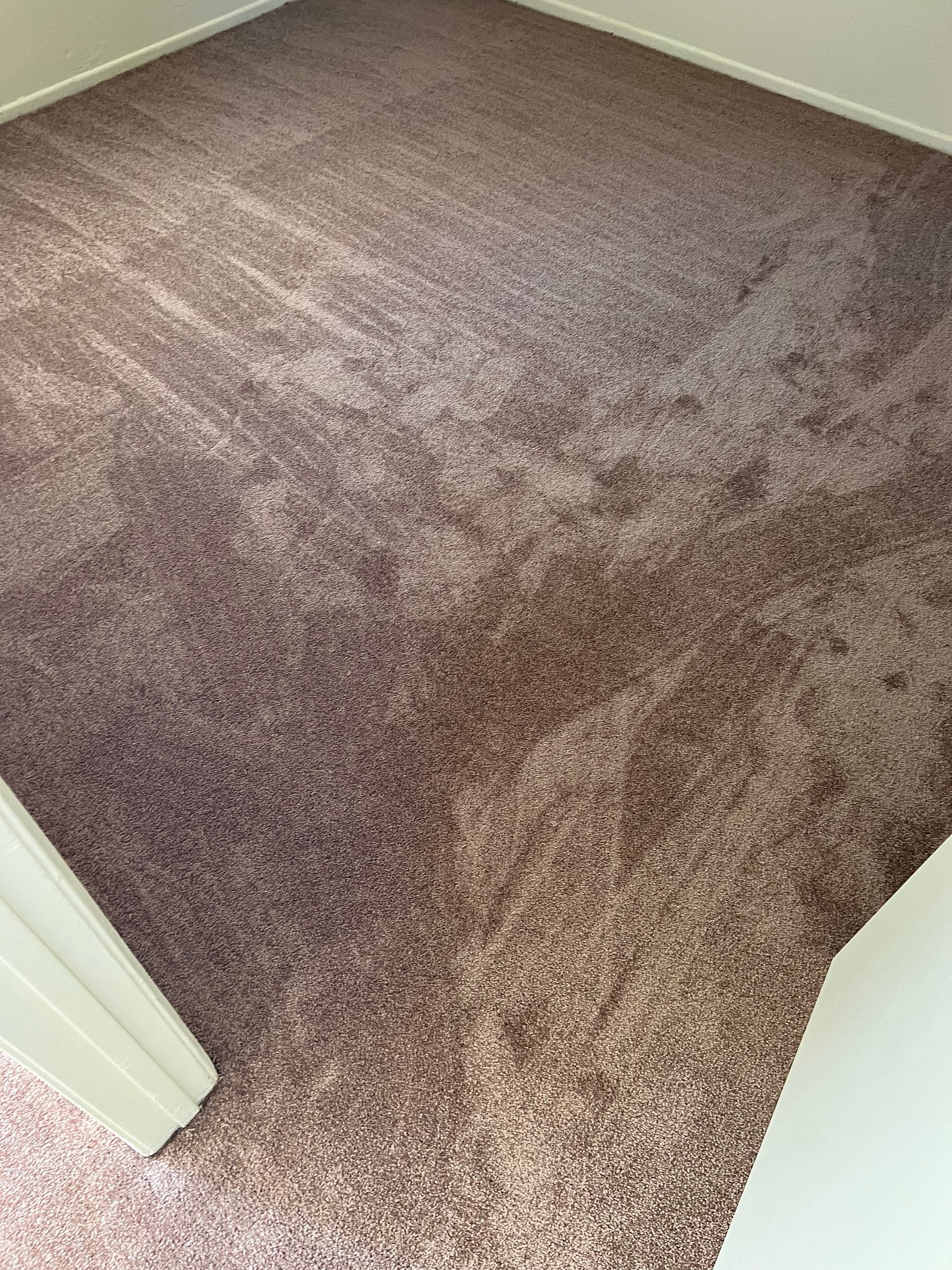 Brown rug on the entire floor