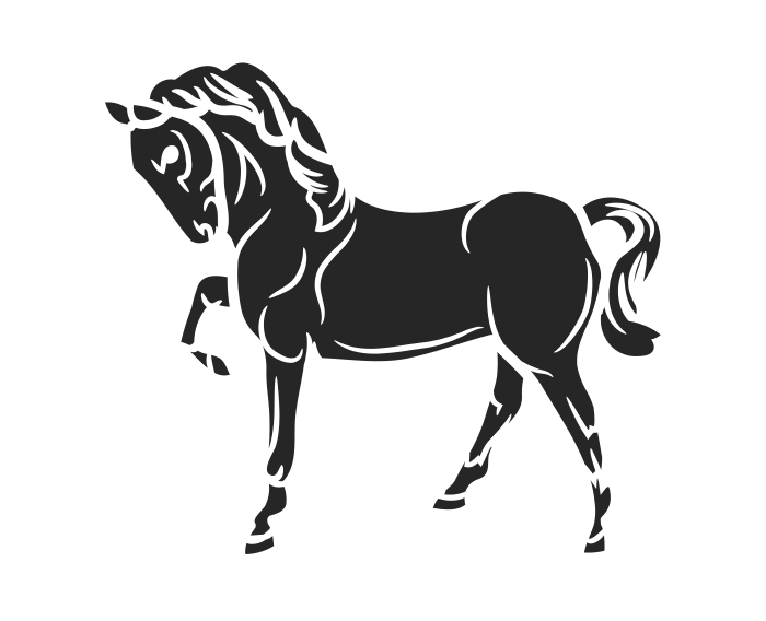 Pictogramme cheval massage bien être Genève